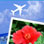 �C�O�̃n�E�X�E�G�f�B���O